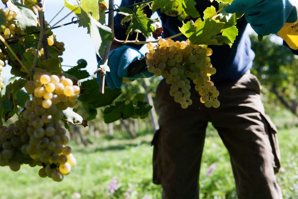 +2stop, piu2stop, servizi fotografici, foto e video, fotografo, fotografia aziendale, Factory