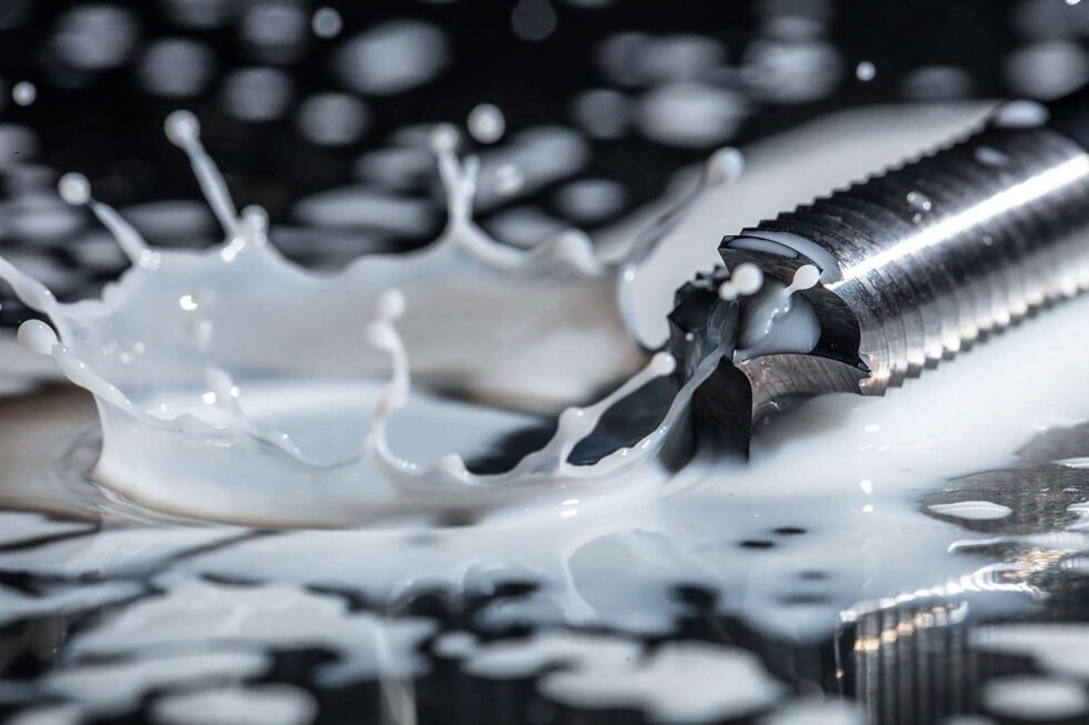 +2stop, piu2stop, servizi fotografici, foto e video, fotografo, fotografia Still Life